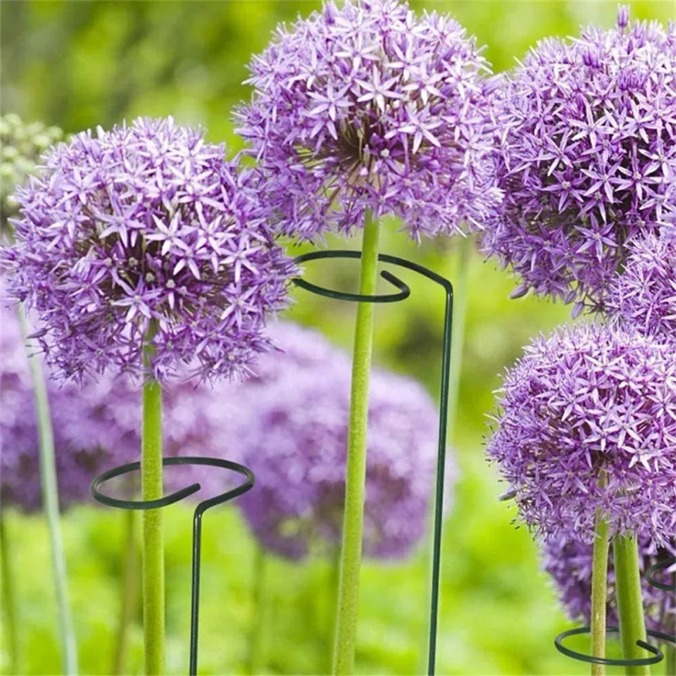 Set x 10 Tutores para Enderezar Plantas y Flores + ENVIO GRATIS