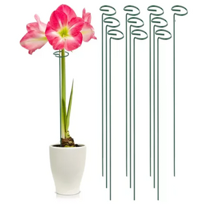 Set x 10 Tutores para Enderezar Plantas y Flores + ENVIO GRATIS