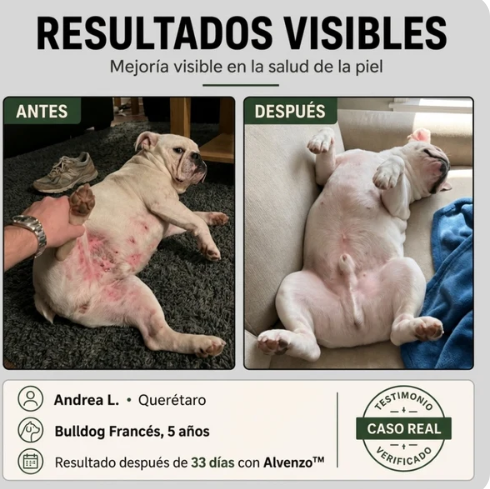 Fórmula Veterinaria Natural para Eliminar Hongos en Perros