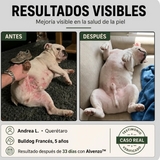 Fórmula Veterinaria Natural para Eliminar Hongos en Perros