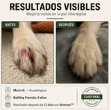 Fórmula Veterinaria Natural para Eliminar Hongos en Perros