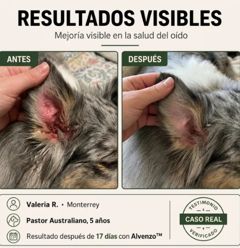 Fórmula Veterinaria Natural para Eliminar Hongos en Perros