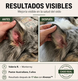 Fórmula Veterinaria Natural para Eliminar Hongos en Perros