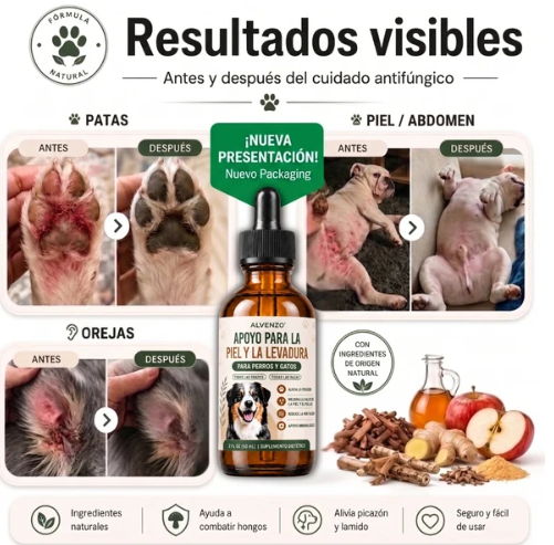 Fórmula Veterinaria Natural para Eliminar Hongos en Perros