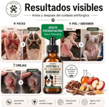 Fórmula Veterinaria Natural para Eliminar Hongos en Perros