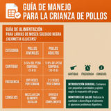 SUPERALIMENTO PARA AVES DE CORRAL JOYPROTYN