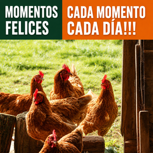 SUPERALIMENTO PARA AVES DE CORRAL JOYPROTYN