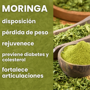 Moringa - 100% pura