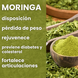 Moringa - 100% pura