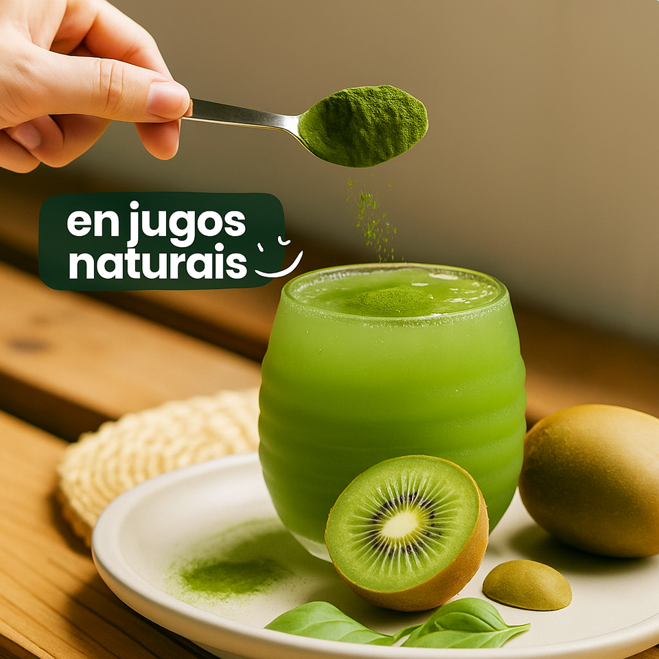 Moringa - 100% pura