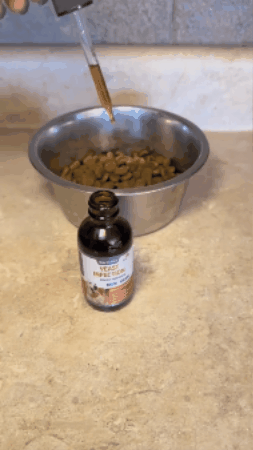 Fórmula Veterinaria Natural para Eliminar Hongos en Perros