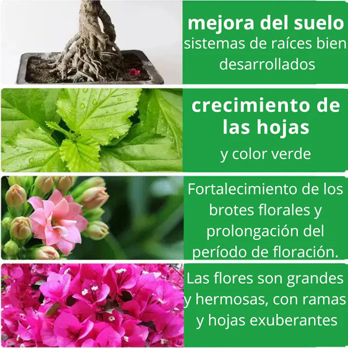 🍁Flower & Root Booster🪻 - 2 X1 Raíces Fuertes y Flores Exuberantes en Días – ¡El Secreto de las Plantas Saludables!