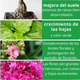 🍁Flower & Root Booster🪻 - 2 X1 Raíces Fuertes y Flores Exuberantes en Días – ¡El Secreto de las Plantas Saludables!