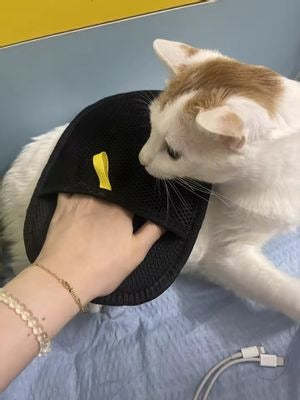 SUPER OFERTA GUANTE  REMOVEDOR DE PELOS  – HOGAR LIMPIO Y SIN PELOS