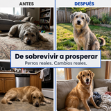 Taurina DoggySupps™